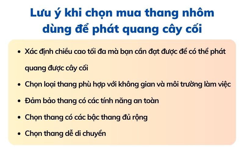 Lưu ý khi chọn mua thang nhôm dùng trong khách sạn