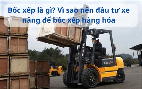 Bốc xếp là gì? Vì sao nên đầu tư xe nâng để bốc xếp hàng hóa