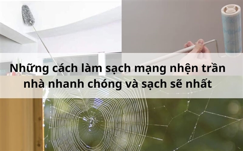 Những cách làm sạch mạng nhện trần nhà nhanh chóng và sạch sẽ nhất