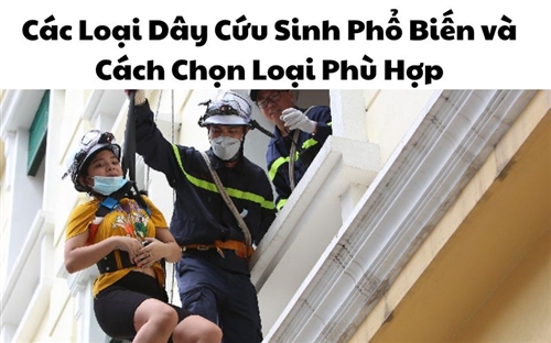 Các Loại Dây Cứu Sinh Phổ Biến và Cách Chọn Loại Phù Hợp