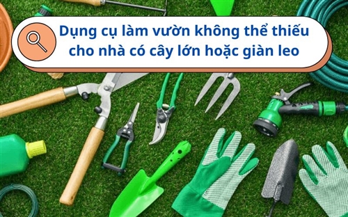 Dụng cụ làm vườn không thể thiếu cho nhà có cây lớn hoặc giàn leo