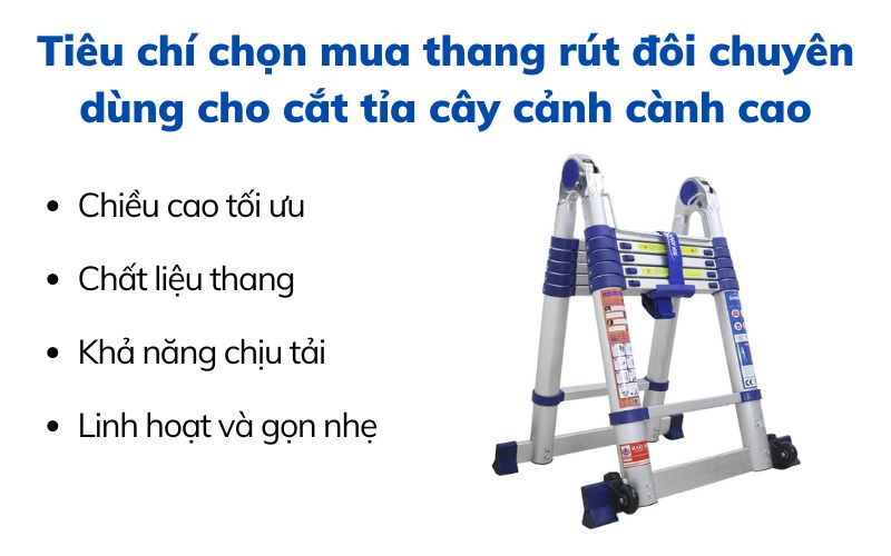 Tiêu chí chọn mua thang rút đôi chuyên dùng cho cắt tỉa cây cảnh cành cao