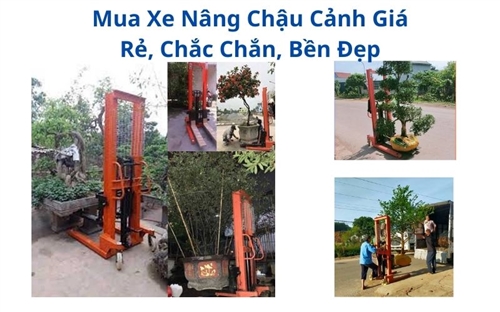 Mua Xe Nâng Chậu Cảnh Giá Rẻ, Chắc Chắn, Bền Đẹp