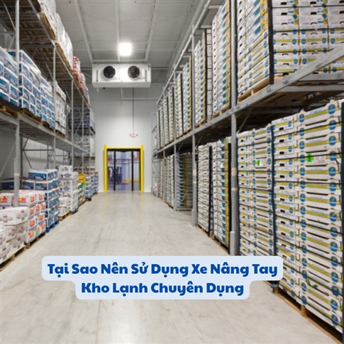 Tại Sao Nên Sử Dụng Xe Nâng Tay Kho Lạnh Chuyên Dụng